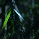 Implementing Agile Management Principles in Traditional Work Environments