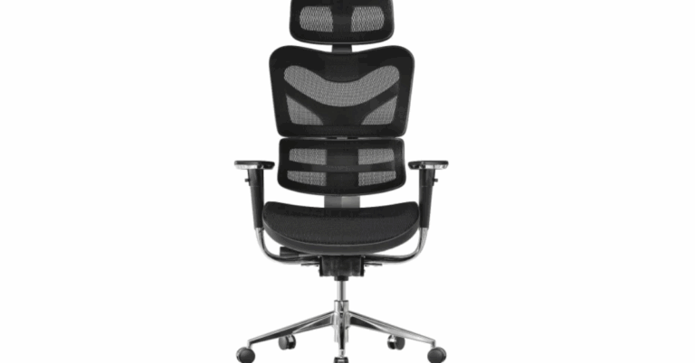 Ergomeister Review: Is This the Ultimate Ergonomic Chair in Singapore?