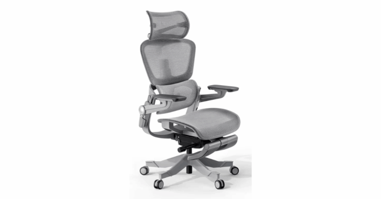 Ergomeister Chair Review: Is It Worth Your Money?