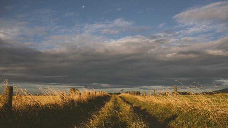 What Can I Do After I See The ?Welcome To Cricbet99 App? Screen?