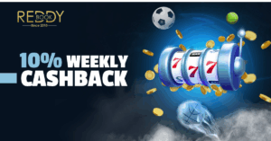 How Reddy Book Club Enhances Your Online Betting Journey with Premium Features