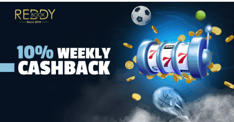 How Reddy Book Club Enhances Your Online Betting Journey with Premium Features