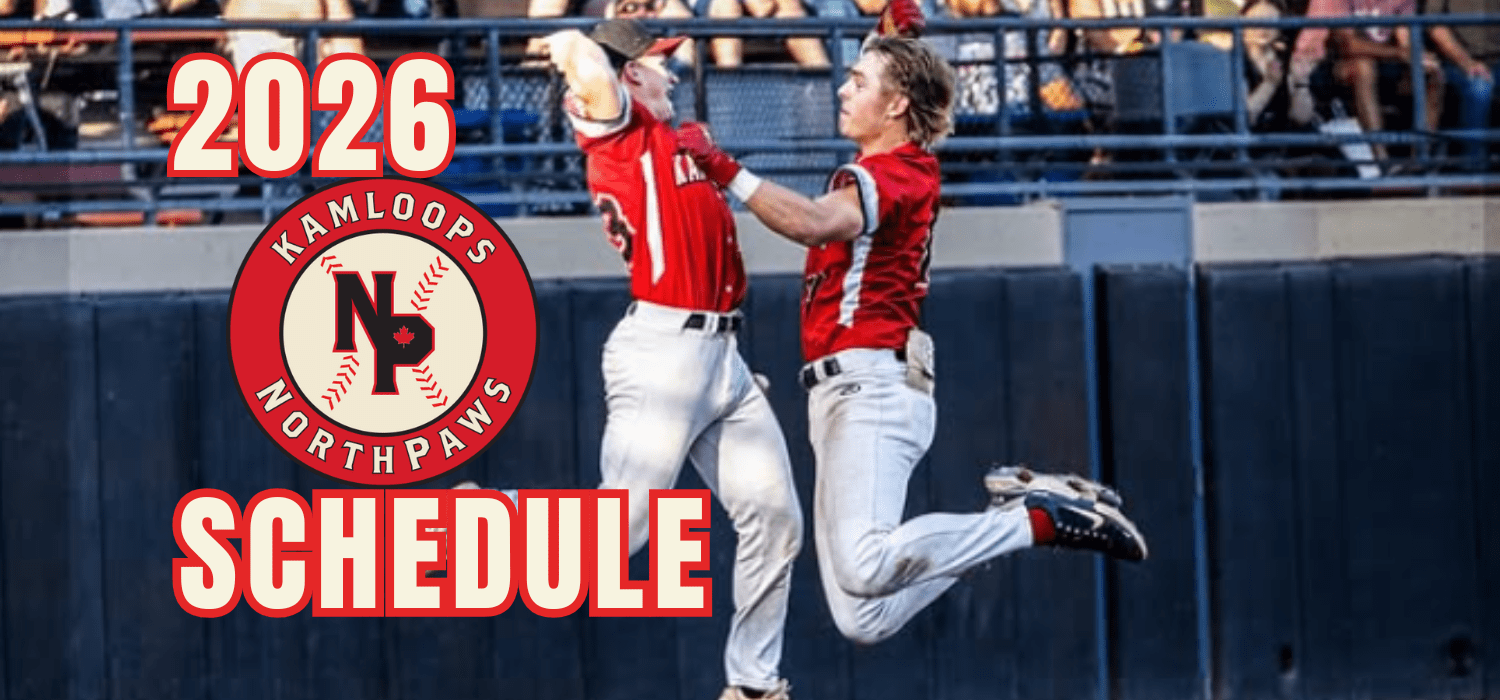 Trusted Online Cricket ID Platform – Secure Identity Solutions for Players, Coaches, and Administrators